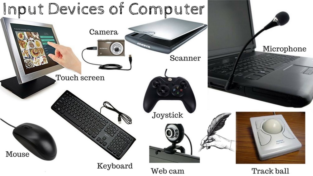 Computer Input, Processing, Output and Storage Devices